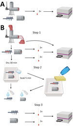 Experimental setup of the meat grinder testing in study of detection and decontamination of chronic wasting disease prions during venison processing. A) For negative control, surfaces were swabbed before use. B) Step 1: chronic wasting disease–negative or–positive muscle was passed through the grinder and surfaces swabbed. Step 2: grinders were disassembled and surfaces were cleaned/decontaminated. Step 3: grinder surfaces were swabbed again, and swabs were tested by real-time quaking-induced conversion.