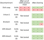 Results from knife and cutting board experiments after CWD-positive muscle cutting and after cleaning with 5 decontaminants in study of detection and decontamination of CWD prions during venison processing. Dish soap, Dawn brand (Procter & Gamble, https://dawn-dish.com); Briotech, 0.02% hypochlorous acid (https://briotechusa.shop); Virkon-S, 2% potassium peroxymonosulfate (Lanxess AG, https://lanxess.com); bleach, 10% vol/vol (7,500 ppm) and 40% vol/vol (30,000 ppm) commercial bleach solutions (7.5% sodium hypochlorite; The Clorox Company, https://www.clorox.com). CB, cutting board; CWD, chronic wasting disease.