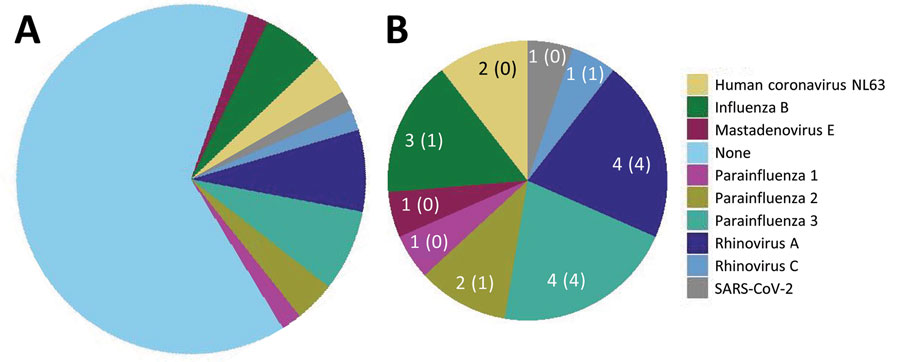 Figure 1. Frequency of human pathogenic respiratory viruses found in 53 residual samples from SARS-CoV-2–negative BinaxNOW tests (Abbott, https://www.abbott.com) in study of respiratory virus detection and sequencing from negative rapid antigen tests. Pie charts indicate the number of samples positive for each virus among all samples (A) and among the 18 positive samples (B). Numbers indicate the number of samples with a virus identified, followed in parentheses by the number of samples with a >90% complete genome sequence assembled. Frequency of human pathogenic respiratory viruses found in 53 residual samples from SARS-CoV-2–negative BinaxNOW tests (Abbott, https://www.abbott.com) in study of respiratory virus detection and sequencing from negative rapid antigen tests. Pie charts indicate the number of samples positive for each virus among all samples (A) and among the 18 positive samples (B). Numbers indicate the number of samples with a virus identified, followed in parentheses by the number of samples with a >90% complete genome sequence assembled.