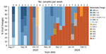 Number of samples collected per week and viral lineages detected in a study of SARS-CoV-2 genomic surveillance from community-distributed rapid antigen tests (RATs), Wisconsin, USA. The chart shows the percentage of SARS-CoV-2 lineages by week for samples that passed quality control thresholds of >90% of the SARS-CoV-2 genome at >10× depth. The date used reflected the date the participant scanned a provided QR code attached to a RAT. Unscanned RATs were excluded from the analysis. The number of samples included in each week’s percentage is shown above the bar. We assigned Pango lineages by using Nextclade version 3.5.0 (25). From August to mid-November 2023, the most common lineages in our samples fell under XBB.1.5, XBB.1.9.2, XBB.1.16, and XBB.2.3. Beginning in early December 2023, we began to see an increase in the number of samples belonging to the lineage JN.1, which dominated RAT samples scanned in February 2024. 