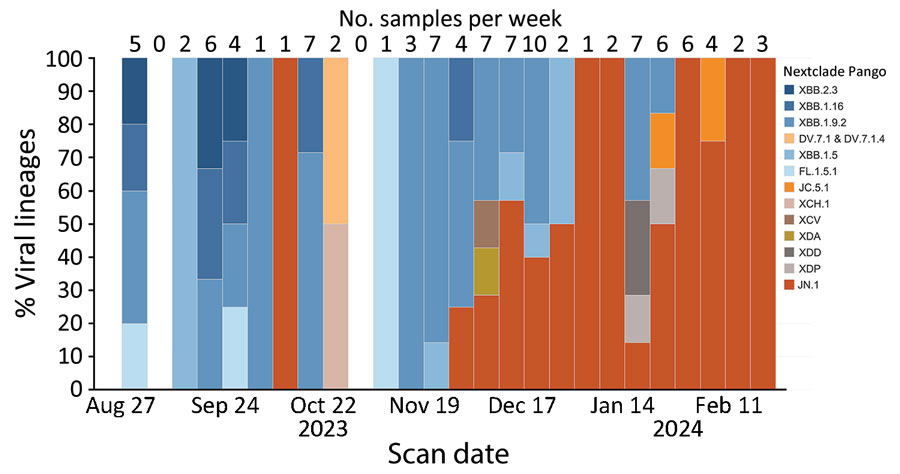 Number of samples collected per week and viral lineages detected in a study of SARS-CoV-2 genomic surveillance from community-distributed rapid antigen tests (RATs), Wisconsin, USA. The chart shows the percentage of SARS-CoV-2 lineages by week for samples that passed quality control thresholds of >90% of the SARS-CoV-2 genome at >10× depth. The date used reflected the date the participant scanned a provided QR code attached to a RAT. Unscanned RATs were excluded from the analysis. The number of samples included in each week’s percentage is shown above the bar. We assigned Pango lineages by using Nextclade version 3.5.0 (25). From August to mid-November 2023, the most common lineages in our samples fell under XBB.1.5, XBB.1.9.2, XBB.1.16, and XBB.2.3. Beginning in early December 2023, we began to see an increase in the number of samples belonging to the lineage JN.1, which dominated RAT samples scanned in February 2024.