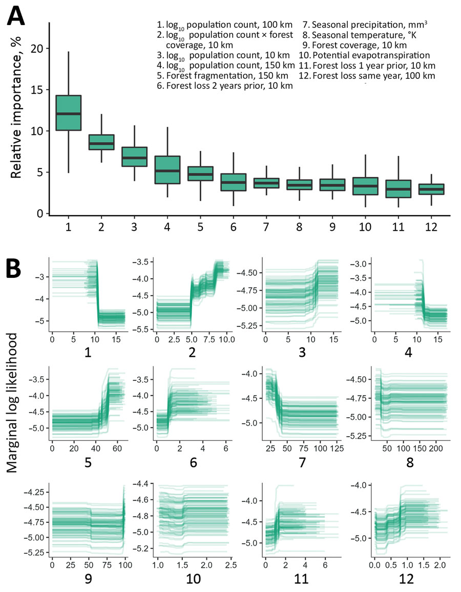 Relative effects of variables in a multispecies predictive model for estimating annual Ebolavirus spillover potential. A) Overall variable effects for predicting Ebolavirus spillover likelihood; B) marginal response curves of the relationship between spillover likelihood and each covariate for the top 12 predictors across ensembles of 100 models. Graphs show effects for the multispecies Ebolavirus inputs combining the species Zaire ebolavirus, Sudan ebolavirus, Bundibugyo ebolavirus, and Tai Forest ebolavirus. Boxes indicate interquartile ranges, horizontal lines within boxes indicate medians, whiskers indicate range values. We measured forest loss in individual covariates for the same year, 1 year prior, and 2 years before spillover events. Mean values for percentage of forest cover, forest loss, forest fragmentation, and human population were extracted surrounding each spillover location using mutually exclusive circular donut buffers with maximum radii of 10, 25, 50, 100, and 150 km. 