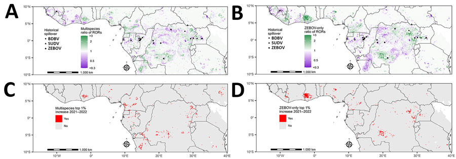 Change in estimated spillover RORs in 2022 compared with 2021 from a predictive model for estimating annual Ebolavirus spillover potential. A, B) RORs for spillover in 2022 in the multispecies (A) and ZEBOV-only (B) models. C, D) Top 1% RORs in multispecies (C) and ZEBOV-only (D) models, highlighting top 1% of prediction cells with 1-year increases in spillover ROR estimates between 2021 and 2022. Multispecies model combined BDBV, SUDV, and ZEBOV. RORs were calculated by using the estimated odds of Ebolavirus spillover divided by the average estimate across the entire study area. BDBV, Bundibugyo ebolavirus; ROR, relative odds ratio; SUDV, Sudan ebolavirus; ZEBOV, Zaire ebolavirus.