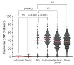 Pairwise SNP distances within different Candida auris populations in study of outbreak in burn intensive care unit, Illinois, USA, 2021–2023. Black points (which appear as lines for the large datasets) are pairwise SNP distances between 2 isolate sequences; horizontal red dashed lines indicate medians. BICU, burn intensive care unit; NS, not significant (adjusted p>0.05); SNP, single-nucleotide polymorphism.