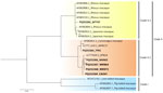 Phylogenetic analysis of herpes B virus in wild long-tailed macaques, Thailand, 2018–2024. Maximum-likelihood trees of partial B virus genome sequences (US5-US6 genes) were constructed for 8 long-tailed macaques from 6 populations in Thailand. Bold font indicates 6 sequences from this study compared with 2 sequences previously described (LC777620.1_BTB14 and LC777619.1_MFRC17) (14). Values on each branch indicate the posterior probability/bootstrap value. Scale bar indicates nucleotide substitutions per site.