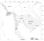 Distribution of 6 virus-positive wild long-tailed macaque populations in study of prevalence of herpes B virus in Thailand, 2018–2024. Dark gray shading indicates distribution of Macaca fascicularis subspecies aurea macaques; light gray shading indicates geographic range of M. fascicularis subsp. fascicularis macaques. Red text indicates locations of macaques BTB14 and MFRC17 described previously (14). BTB, Bang Ta Boon; CAO, Wat Tham Khao Cha Ang On; MFRC, Mangrove Forest Research Center; TPK, Tham Pra Khayang; WKN, Wat KuPhra Ko Na; WTT, Wat Tham Thep Ban Dan.