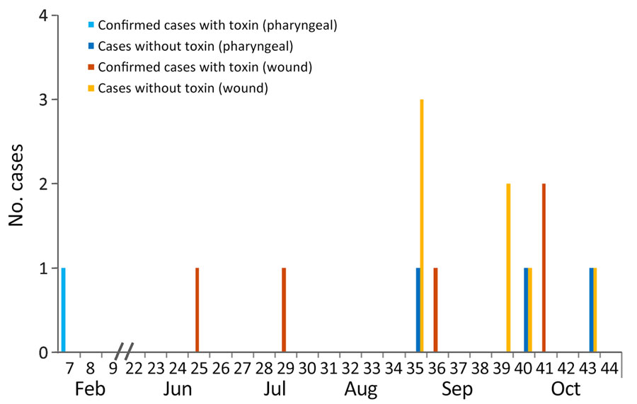 Details on 16 cases of dipththeria in persons experiencing homelessness, by sampling week, toxigenicity (positive/negative), and place of infection, Frankfurt am Main, Germany, February–October 2023.