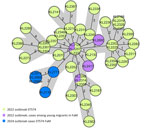 Minimum-spanning tree of core-genome multilocus sequence type analysis of toxigenic Corynebacterium diphtheria, with 1,553 target loci of the whole-genome sequencing-obtained genomes of the toxigenic C. diphtheriae isolates from an outbreak in 2023 compared with genomes of an outbreak cluster of the same ST (ST574) from a previously reported outbreak among migrants (23). Single-linkage allelic distances are illustrated as a measure of genetic related. FaM, Frankfurt am Main; ST, sequence type.