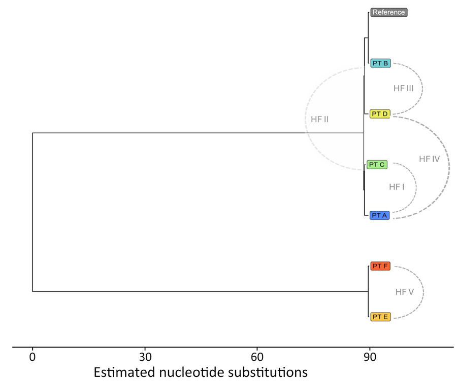 Approximate healthcare encounters and overlap among 5 patients with Klebsiella pneumoniae infection as part of study of integrating genomic data into public health surveillance for multidrug-resistant organisms, Washington, USA. HF, health facility; PT, patient; SNP, single-nucleotide polymorphism.