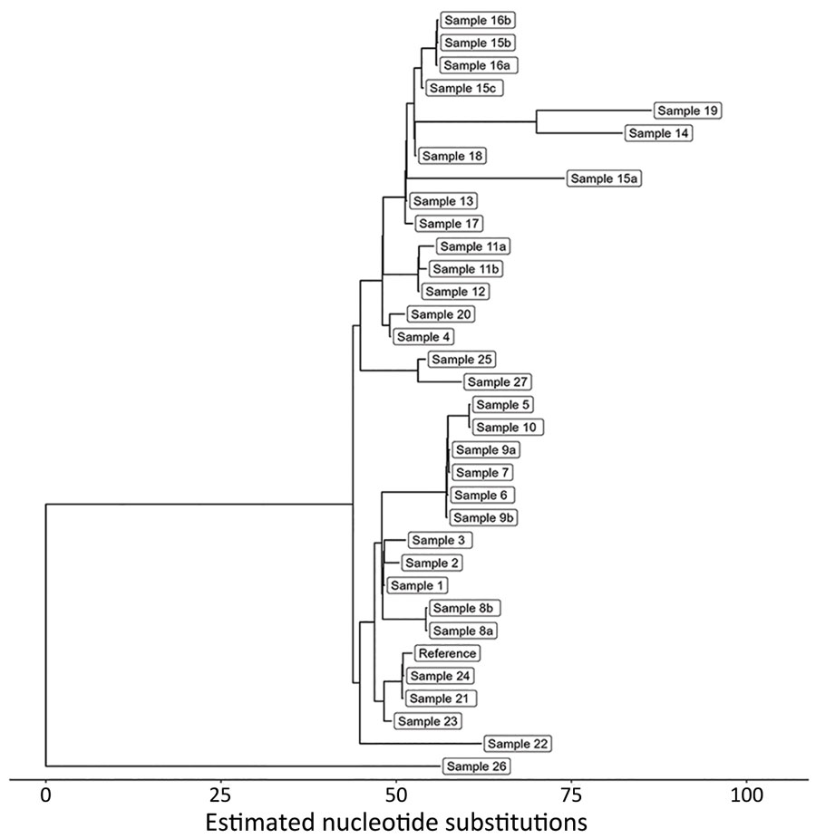 Maximum-likelihood phylogenetic tree showing relationships among 33 carbapenemase-producing Acinetobacter baumannii isolates with the OXA-235–like carbapenemase gene as part of study of integrating genomic data into public health surveillance for multidrug-resistant organisms, Washington, USA.