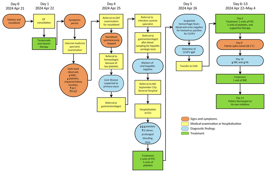 Clinical course, diagnostic findings, treatment, and outcome for CCHF case-patient 1 during CCHF outbreak, North Macedonia, April–May 2024. Up arrows (↑) indicate that a parameter increased and down arrows (↓) that a parameter decreased; multiple up or down arrows indicate degree of increase or decrease. Timeline generated by using opensource software draw.io (https://app.diagrams.net). ALT, alanine transaminase; AST, aspartate aminotransferase; CCHF, Crimean-Congo hemorrhagic fever; CCHFV, CCHF virus; CIDS, Clinic for Infectious Diseases in Skopje; ENT, ear, nose, and throat specialist; FFP, fresh frozen plasma; GP, general practitioner; Hb, hemoglobin; ICU, intensive care unit; RBC, red blood cells (erythrocytes); WBC, white blood cells (leukocytes).