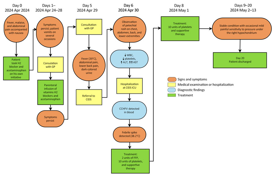 Clinical course, diagnostic findings, treatment, and outcome for CCHF case-patient 2 during CCHF outbreak, North Macedonia, April–May 2024. Up arrows (↑) indicate that a parameter increased and down arrows (↓) that a parameter decreased; multiple up or down arrows indicate degree of increase or decrease. Timeline generated by using opensource software draw.io (https://app.diagrams.net). ALT, alanine transaminase; AST, aspartate aminotransferase; CCHF, Crimean-Congo hemorrhagic fever; CCHFV, CCHF virus; CIDS, Clinic for Infectious Diseases in Skopje; ENT, ear, nose, and throat specialist; FFP, fresh frozen plasma; GP, general practitioner; ICU, intensive care unit; WBC, white blood cells (leukocytes).