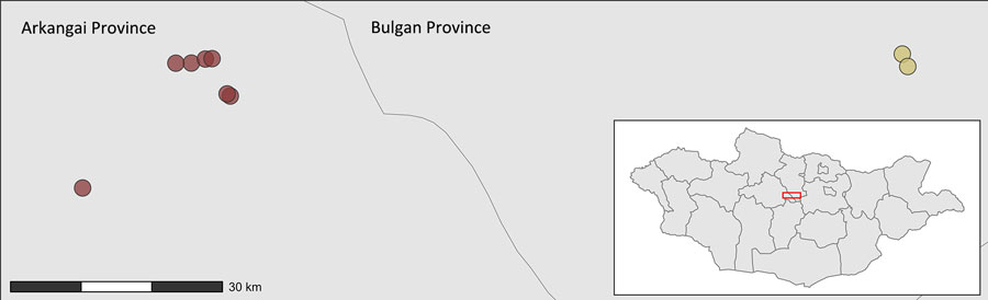 Geographic location of sampling sites for study of influenza A(H5N1) spillover infections in horses, Mongolia. Red represents wetlands and yellow, dry areas. Inset shows location of study area in Mongolia. 
