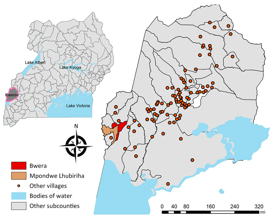 Geography of sampling sites in study of human monkeypox virus infections, Uganda, 2024. Larger map shows sampling sites of Bwera and Mpondwe Lhubiriha in Kasese District. Inset map shows location of Kasese District in western Uganda. 