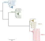 Phylogenetic tree showing clade analysis in study of human monkeypox virus infection, Uganda, 2024. Maximum-likelihood tree was generated using IQ-TREE (https://www.iqtree.org) with 1,000 bootstrap resampling. The monkeypox virus sequences from Uganda (Case1_UG and Case2_UG) clustered with other clade Ib viruses from the Democratic Republic of the Congo (red text). Scale bar indicates number of nucleotide substitutions per site. 