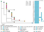 Maximum-likelihood phylogenetic tree of the 24 isolates from the MDR Mycobacterium tuberculosis outbreak strain Ch, Chaco, Argentina, 2006–2022, analyzed by whole-genome sequencing. Each patient is represented by a colored dot. Labels indicate the patient and isolate identification numbers. Blocks indicate the resistance-conferring mutations detected in each isolate, as indicated below the tree. Scale bar indicates number of substitutions per variable site. MDR, multidrug-resistant.