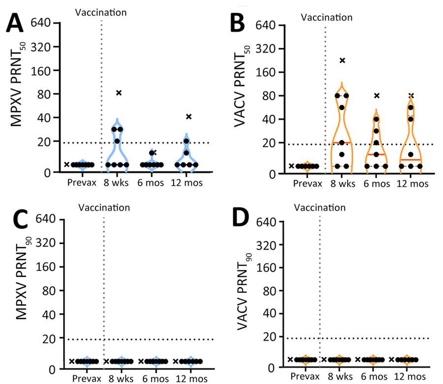 Longitudinal neutralizing antibody response by JYNNEOS vaccination extending to 12 months in a study to assess neutralizing antibody responses to MPXV in smallpox vaccine–naive persons after JYNNEOS vaccination. We used PRNT to test serum samples from donors vaccinated with 2 doses of JYNNEOS ≈28 days apart. We performed assays with sonicated virus and a 1-hour virus–serum incubation. A) MPXV PRNT50 results; B) VACV PRNT50 results; C) MPXV PRNT90 results; D) VACV PRNT90 results. Data from a single donor with prior smallpox vaccination are plotted separately (black Xs). We used data from participants with no known vaccinia exposure for mean calculations (black circles). Each datapoint represents the geometric mean titer of 2 independent experiments, each performed in duplicate, and the limits of detection are expressed by horizontal dotted lines. MPXV, monkeypox virus; prevax, prevaccination; PRNT, plaque reduction neutralization test; PRNT50, 50% plaque reduction as measured by PRNT; PRNT90, 90% plaque reduction as measured by PRNT; VACV, vaccinia virus.