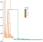 Maximum clade credibility tree of outbreak samples and contextualized Shigella sonnei isolates from the United States, 2015–2023. The color scale denotes the probability of the node below each branch being in the San Francisco Bay, California, USA, area. Inferred by using MASCOT (6).
