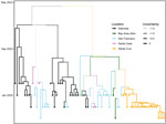 Phylogenetic tree of Shigella sonnei outbreak isolates in the San Francisco Bay, California, USA, area with spatiotemporal metadata and tree uncertainty, 2023–2024. Branches are colored according to location. The opacity of the branches is equal to the uncertainty of the placement of each branch. Phylodynamic methods are incorporated into phylogenetic trees with time and location.