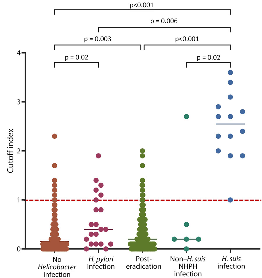 Helicobacter suis antibody titers according to gastric Helicobacter infection status in study of NHPH infections, Japan, 2022. Antibodies were measured by using ELISA. Gastric Helicobacter infection status was categorized into 5 groups. Horizontal lines within each group indicate the median value for that group. Red dotted line indicates the threshold for diagnosing H. suis infection, as previously described (16). p value comparisons are indicated above the groups. NHPH, non–H. pylori Helicobacter.
