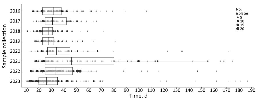 Box and whisker representation of end-to-end timeliness in a study of effects of decentralized sequencing on national Listeria monocytogenes genomic surveillance, Australia, 2016–2023. Time represents date of sample collection to date genomic surveillance report was issued, by year. Boxplots show medians (vertical lines within boxes), 1st and 3rd quartiles (box left and right edges), and 1.5× interquartile range from each quartile (whiskers); points outside that range are considered outliers. Underlying data are shown as dots, and dot size corresponds to the number of samples at each timepoint. Statistically significant differences (p<0.001) between the years were calculated by using Kruskal-Wallis χ2 test. Dunn’s posthoc test showed statistically significant (p<0.001) increases in times for years 2020 and 2021, compared with previous years (p = 0.029), and subsequent significant decreases in times in 2022 and 2023 (adjusted p<0.001). Median time in 2023 was 26 days, compared with a median of 32 days in 2016.