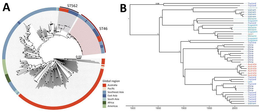 Phylogeny of Burkholderia pseudomallei ST46 shown in an investigation of B. pseudomallei ST46 transmission from Asia to Australia. A) Midpoint-rooted maximum-likelihood global phylogeny; B) maximum clade credibility tree. Trees include genomes collected as part of the Darwin Prospective Melioidosis Study in Darwin, Northern Territory, Australia, and others available in public sources (Appendix 1 Table). Black circles indicate nodes with an approximate likelihood ratio >95 and ultrafast bootstrap >95. Labels indicate nodes with posterior support >0.8. ST, sequence type.