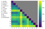 Genetic variation within and between lineages of Histoplasma found in the Amazon Basin, 2006–2017. Interspecific genetic distance is larger than the intraspecific variation in most pairwise comparisons. The upper diagonal shows intraspecific variation; all other squares show the pairwise distance between interspecific genetic distance. Unit on right side of graph is pairwise genetic distance.