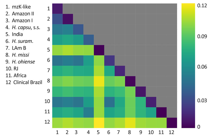 Genetic variation within and between lineages of Histoplasma found in the Amazon Basin, 2006–2017. Interspecific genetic distance is larger than the intraspecific variation in most pairwise comparisons. The upper diagonal shows intraspecific variation; all other squares show the pairwise distance between interspecific genetic distance. Unit on right side of graph is pairwise genetic distance.