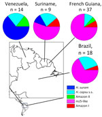 Proportional representation of the Histoplasma phylogenetic species identified in 4 countries of the Amazon basin, 2006–2017. s.s., sensu stricto.