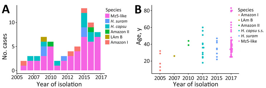 Epidemiologic characteristics of the 6 Histoplasma phylogenetic species detected in the Amazon basin, 2006–2017. A) Yearly proportions of each phylogenetic species in the samples collected. B) Age distribution of the patients with histoplasmosis caused by each of the 6 phylogenetic species. LAm B, Latin American group B; s.s., sensu stricto.