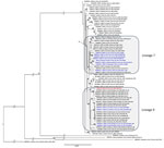 Phylogenetic tree based on the complete coding region (1,290 bp) of the small segment of SEOV strain detected in an infected patient in France, 2022, and representative strains of SEOV and other hantavirus species. The complete segment Bayesian tree was reconstructed using MAFFT version 7.023b (https://mafft.cbrc.jp/alignment/software) and RAxML 8.2 (https://cme.h-its.org/exelixis/web/software/raxml) with the general time-reversible plus gamma distribution substitution model and a rapid bootstrap (i.e., general time-reversible invariable site plus discrete Gamma model, bootstraps = 1,000). The numbers at each node are bootstrap probabilities (>70%) as determined for 1,000 iterations. The SEOV strain Hu_2022_2022.0169 (GenBank accession no. PQ241127) retrieved in this study is indicated in red, whereas other sequences from France and Benin are represented in blue. GenBank accession numbers are provided for reference viruses. Hantaan virus was used as outgroup. Scale bars indicate nucleotide substitutions per site. BR, breeder rat (includes feeder and pet rats); CC, cell culture; Hu, human; LR, laboratory rat; N, nucleoprotein; Rn, Rattus norvegicus; Rr, R. rattus; SEOV, Seoul virus; WR, wild rat.