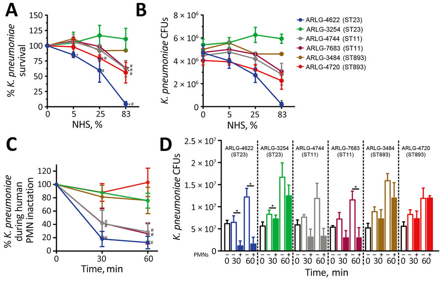 Serum and PMN bactericidal activity in 6 clinical isolates in study of carbapenem-resistant, virulence plasmid–harboring Klebsiella pneumoniae isolates, United States. A–B) The indicated clinical isolates were cultured with 0%, 5%, 25%, or 83% NHS for 1 hour, and recovered viable bacteria were enumerated as both percentages (A) and absolute values (B). Asterisk (*) indicates p<0.05 vs. 0% serum by using a repeated-measures analysis of variance and Dunnett posttest; hash mark (#) indicates p<0.05 vs. ARLG-3254 in 25% or 83% NHS by using a t-test. C–D) Survival of clinical isolates determined following synchronized PMN phagocytosis assays at 30 or 60 min as described. Data are expressed as percentage survival (C) or colony-forming units (D). Results represent the mean (dots) + SD (error bars) of 3 separate experiments. Asterisk (*) indicates p<0.05 as determined by using a repeated-measures analysis of variance and Bonferroni posttest (selected pairs of data) or Kruskal-Wallis test and Dunn posttest for nonparametric analysis of ARLG-4744; hash mark (#) indicates p<0.05 vs. ARLG-3254 for 30 or 60 min in PMN by using a t-test. We conducted statistical analyses by using CFUs. NHS, normal human serum; PMN, polymorphonuclear neutrophils; ST, sequence type.