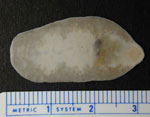 Adult Fasciolopsis buski fluke. Source: DPDx (https://www.cdc.gov/dpdx).