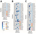 Variant heatmaps from individual patients in study of rapid emergence and evolution of SARS-CoV-2 intrahost variants among COVID-19 patients with prolonged infections, Singapore. A) Patient 1, infected with B6.6 lineage; B) patient 5, infected with B1.1 lineage; C) patient 16, infected with B1.1 lineage. Heatmaps show the frequency distribution of intrahost variants (5%–95%) identified in SARS-CoV-2 genomes from longitudinal samples collected in hospitalized patients during March–May 2020. Maps show corresponding genomic positions, associated genes, and amino acid changes. E, envelope; M, membrane; N, nucleocapsid; ORF, open reading frame; S, spike.