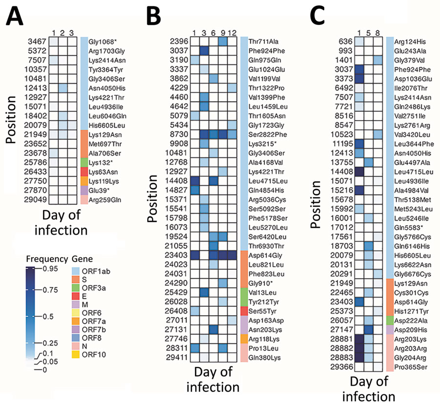 Variant heatmaps from individual patients in study of rapid emergence and evolution of SARS-CoV-2 intrahost variants among COVID-19 patients with prolonged infections, Singapore. A) Patient 1, infected with B6.6 lineage; B) patient 5, infected with B1.1 lineage; C) patient 16, infected with B1.1 lineage. Heatmaps show the frequency distribution of intrahost variants (5%–95%) identified in SARS-CoV-2 genomes from longitudinal samples collected in hospitalized patients during March–May 2020. Maps show corresponding genomic positions, associated genes, and amino acid changes. E, envelope; M, membrane; N, nucleocapsid; ORF, open reading frame; S, spike.