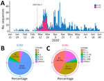Evolutionary landscape in study of rapid emergence and evolution of SARS-CoV-2 intrahost variants among COVID-19 patients with prolonged infections, Singapore. A) Number of SARS-CoV-2 cases carrying the spike 614D or 614G mutations in all available SARS-CoV-2–positive samples. Dotted red line shows the first detection of the 614G mutation in Singapore. B, C) Percentages of different SARS-CoV-2 Pango lineages containing the 614D (B) or 614G (C) residues in the spike protein. 