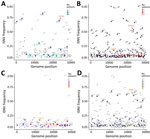 Comparative analysis of variants among lineages and infection durations in study of rapid emergence and evolution of SARS-CoV-2 iSNVs among COVID-19 patients with prolonged infections, Singapore. A, B) Variant frequency between B.1 lineages (A) and B.6 or B.6.6 lineages (B). Red arrows indicate the appearance of intrahost D614G spike variant at nucleotide position 23403. C, D) Variant frequency between COVID-19 patients with shorter infections (<7 days) (C) and those with prolonged infections (8–40 days) (D). Colored circles represent the number of patients with co-occurring intrahost variants; circle size is proportional to patient count. iSNVs, intrahost single-nucleotide variants.