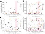Temporal evolution of iSNVs in study of rapid emergence and evolution of SARS-CoV-2 intrahost variants among COVID-19 patients with prolonged infections, Singapore. The dot plots illustrate iSNVs detected over time and their fluctuations throughout the course of infection in 4 patients: A) patient 6, a 28-year-old man, who had a short infection and hospitalization lasting 7 days; B) patient 2, a 48-year-old man, who had a longer infection and hospitalization of 13 days; C) patient 4, a 65-year-old-man who had a prolonged infection and hospitalization lasting 30 days; and D) patient 3, a 70-year-old man, who had a prolonged infection and hospitalization lasting 40 days. Colored gradient circles represent days of infections, and the shaded vertical bar indicates the spike region. Red arrows indicate nonsynonymous iSNVs that persisted at high frequency. iSNVs, intrahost single-nucleotide variants; syn, synonymous variants; nonsyn, nonsynonymous variants; UTR, untranslated region.