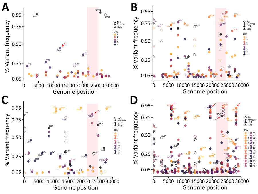 Temporal evolution of iSNVs in study of rapid emergence and evolution of SARS-CoV-2 intrahost variants among COVID-19 patients with prolonged infections, Singapore. The dot plots illustrate iSNVs detected over time and their fluctuations throughout the course of infection in 4 patients: A) patient 6, a 28-year-old man, who had a short infection and hospitalization lasting 7 days; B) patient 2, a 48-year-old man, who had a longer infection and hospitalization of 13 days; C) patient 4, a 65-year-old-man who had a prolonged infection and hospitalization lasting 30 days; and D) patient 3, a 70-year-old man, who had a prolonged infection and hospitalization lasting 40 days. Colored gradient circles represent days of infections, and the shaded vertical bar indicates the spike region. Red arrows indicate nonsynonymous iSNVs that persisted at high frequency. iSNVs, intrahost single-nucleotide variants; syn, synonymous variants; nonsyn, nonsynonymous variants; UTR, untranslated region.