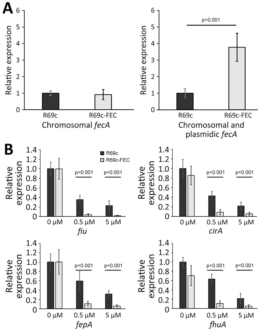 Expression analysis of siderophore receptor genes in the presence and absence of plasmidic fec gene cluster and ferric citrate inducer in study of cefiderocol resistance conferred by plasmid-located ferric citrate transport system in Klebsiella pneumoniae carbapenemase–producing K. pneumoniae. A) Transcription of the fecA genes in the DH5-α strain carrying R69c or R69c-FEC, determined by using primer pairs able to discern the chromosomal fecA allele from the K. pneumoniae fecA gene in the fecABCDE operon or a primer pair recognizing both chromosomal and plasmidic fecA alleles (Appendix 1). The relative quantitative analysis of the transcripts was based on the 2−ΔΔCT method (33). In both bar graphs, the relative values were calculated with respect to the transcript level observed in the R69c carrying strains and set to 1. B) Transcription of the siderophore receptor genes fiu, cirA, fepA, and fhuA in the R69c-FEC and R69c strains grown in the absence of ferric citrate or in the presence of 0.5 μM or 5.0 μM ferric citrate, relative to the R69c strain grown without ferric citrate, which is set to 1. The relative quantitative analysis of the transcripts was based on the 2−ΔΔCT method (33). Error bars represent SDs. Statistical significance was determined by using a paired 2-tailed Student t-test comparing the dataset obtained from the 2 strains grown under the same conditions. FEC, ferric citrate transport system.