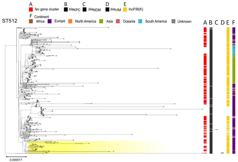 Phylogenetic analysis of Klebsiella pneumoniae ST512 based on core-genome alignment of 510 K. pneumoniae ST512 isolates. The tree is midpoint rooted, and the scale bar represents the number of substitutions per site. The presence of the fec operon is indicated in red; blaKPC, blaVIM, and blaNDM genes in black; and the FIB(K) replicon in orange. Yellow shading indicates genomes sequenced in this study or our previous studies (Appendix 1, Table 1). The best-fit model was selected by ModelFinder (34). The tree was visualized with Microreact (https://microreact.org) and adjusted by using the InkScape software (https://www.inkscape.org). ST, sequence type.