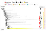 Phylogenetic analysis based on core-genome alignments of 1,516 Klebsiella pneumoniae ST307 isolates in study of cefiderocol resistance conferred by plasmid-located ferric citrate transport system in K. pneumoniae carbapenemase–producing K. pneumoniae. The trees are midpoint rooted, and the scale bar represents the number of substitutions per site. The presence of the fec operon is indicated in red; blaKPC, blaVIM, and blaNDM genes in black; and the FIB(K) replicon in orange. Yellow shading indicates genomes sequenced in this study or our previous studies (Appendix 1, Table 1). The best-fit model was selected by ModelFinder (34). The trees were visualized with Microreact (https://microreact.org) and adjusted by using the InkScape software (https://www.inkscape.org). ST, sequence type.