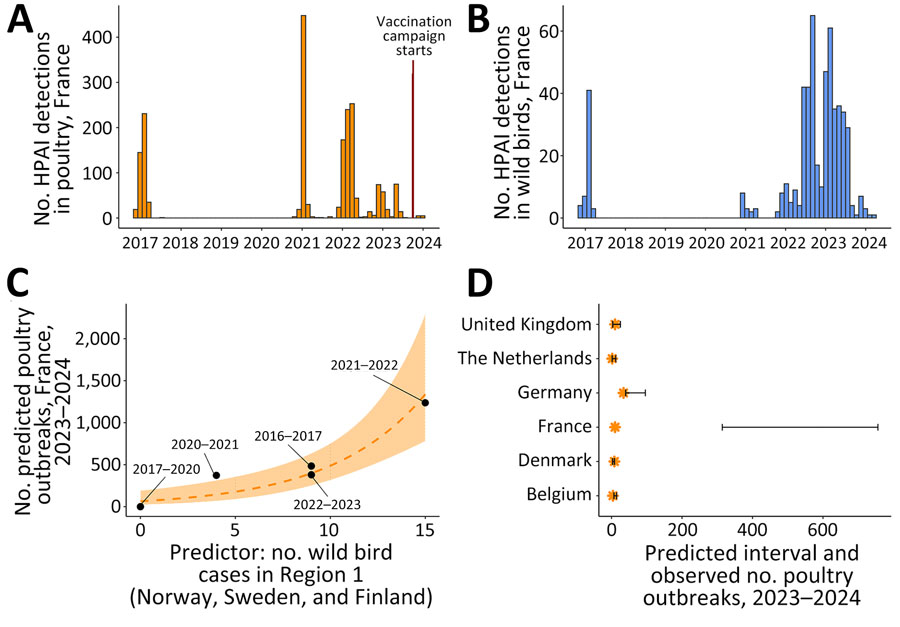 Distribution of and predicted numbers of HPAI H5 cases in study of promising effects of duck vaccination against HPAI, France, 2023–2024. A) Temporal distribution of HPAI H5 clade 2.3.4.4b poultry outbreaks in France. Red vertical line indicates start of duck vaccination campaign (October 1, 2023). B) Temporal distribution of HPAI H5 clade 2.3.4.4b wild bird cases in France. C) Predicted number of HPAI H5 poultry farm outbreaks in France as a function of the predictor variable: number of HPAI H5 wild bird cases in region 1 (Norway, Sweden, Finland). Black dots represent observed number of outbreaks in France in 2016–2023. D) Predicted and observed number of HPAI H5 poultry farm outbreaks in France and in heavily affected, nonvaccinating countries in Europe in 2023–2024. Orange stars represent observed numbers; error bars represent 95% prediction intervals. HPAI, highly pathogenic avian influenza.