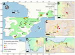 Sampling sites of live vultures (black triangles) and collection sites of carcasses of confirmed HPAI-positive vultures (dots) during March 2020–August 2023 in study of multidisciplinary tracking of highly pathogenic avian influenza A(H5N1) outbreak in griffon vultures (Gyps fulvus), southern Europe, 2022. The correspondence between site identification and the details of site names, region, or province area are given in the Appendix. The color of collection sites indicates the number of cases in each site. A) Sampling sites in France and Spain; light green shaded areas show the breeding range of Griffon vultures. Insets provide details of specific sites: B) Alps, C) Massif Central, D) South Spain, and E) Pyrenees and North Spain.
