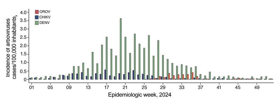 Incidence of laboratory-confirmed Oropouche fever, dengue, and chikungunya cases in study of molecular epidemiology of OROV, Ceará state, Brazil, January–December 2024. Incidence is shown per epidemiologic week at state-level from epidemiologic week 1 (December 31, 2023–January 6, 2024) to epidemiologic week 52 of 2024 (December 22–28, 2024). CHIKV, chikungunya virus; DENV, dengue virus; OROV, Oropouche virus. 