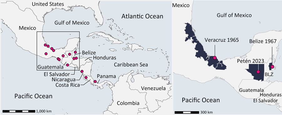 Geographic origins of reported Venezuelan equine encephalitis virus subtype IE sequences identified in Central America. Circles indicate geolocation of subtype IE sequences. Enlarged map shows the geolocation of the strains grouping with the virus from this study (Petén Department, Guatemala, 2023). 