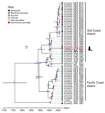 Time-scaled Bayesian maximum-clade credibility tree of Venezuelan equine encephalitis virus subtype IE identified in Central America. Bayesian phylogeny of the concatenated nonstructural and structural open reading frames with removal of the coding regions for the C-terminus of nonstructural protein 3 and N terminus of the capsid protein. Taxa indicate GenBank accession number, country abbreviation, and year of collection. Branch tips indicate host by color coding, including a sequence (strain no. 63Z1) isolated from blood of a sick human infected in the rainforest near Sontecamapan, Veracruz, Mexico, in August 1963 (2). Numbers at nodes indicate posterior probabilities of all major branches. Asterisks indicate clades previously used for dating according to a previous publication (3). Bars in node branches represent the 95% height posterior density intervals of the node ages. Scale bar represents time in years. BLZ, Belize; CRI, Costa Rica; GTM, Guatemala; HND, Honduras; MEX, Mexico; NIC, Nicaragua; PAN, Panama; SLV, El Salvador.