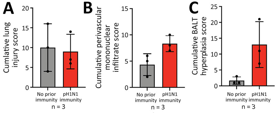 Lung infiltrates measured in a study of influenza A(H5N1) immune response among ferrets with pH1N1 immunity. We blindly scored 5 lung sections for ferrets with no prior or existing pH1N1 immunity for lung injury (A), perivascular mononuclear infiltrates (B), and BALT hyperplasia (C). Each dot represents the cumulative score of the 5 sections for each ferret. Bar values indicate means; whiskers indicate SDs. BALT, bronchus-associated lymphoid tissue; pH1N1, influenza A(H1N1)pdm09.