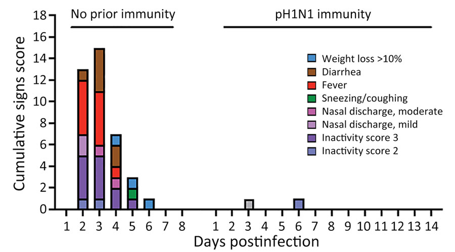 Cumulative clinical signs scores in a study of influenza A(H5N1) immune response among ferrets with pH1N1 immunity. Ferrets with or without pH1N1 immunity were intranasally infected with H5N1 strain A/dairy cattle/Texas/24-008749-001/2024(H5N1). Clinical signs of infection were monitored each day postinfection and quantified into a cumulative signs scores based on 5 ferrets on days 1–3 and 2 ferrets on days 4­–14 postinfection or until euthanasia. pH1N1, influenza A(H1N1)pdm09.