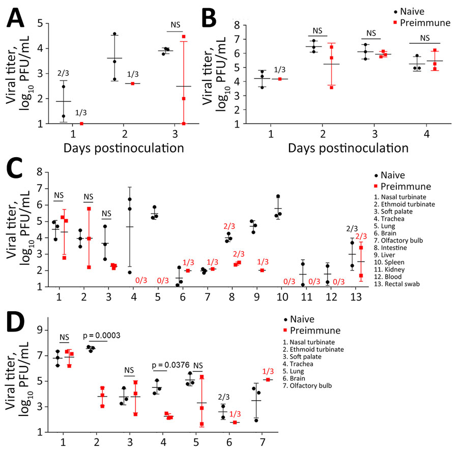 Virus shedding in study of the effect of prior influenza A(H1N1)pdm09 virus infection on pathogenesis and transmission of human influenza A(H5N1) clade 2.3.4.4b virus in ferret model. A, B) Nasal wash viral titers for influenza A(H5N1) Texas/37 virus (A) and influenza A(H7N9) Anhui/1 virus (B). C, D) Virus titers from tissues for Texas/37 H5N1 virus collected 3 days postinoculation (C) and Anhui/1 H7N9 virus collected 4 days postinoculation (D). Horizontal bars indicate median, dots indicate individual titers, whiskers indicate range of positive titers. Three naive and 3 pH1N1 preimmune ferrets were inoculated via respiratory inhalation with Texas/37 or Anhui/1 virus (Table). Nasal wash specimens (A, B) were collected daily. Virus titers were determined by standard plaque assay in MDCK cells. Tissue samples collected from nasal turbinate, ethmoid turbinate, soft palate, blood, and rectum specimens were reported in log10 PFU/mL. Tissues collected from lung, brain, olfactory bulb, intestines, liver, spleen, kidney were reported in log10 PFU/g. The limit of detection was 10 PFU per mL or g. Statistical analyses were performed using 2-way analysis of variance test when samples were positive for viral titers in all 3 inoculated animals; we considered p<0.05 statistically significant. When <3 inoculated ferrets had detectable virus, the detection frequency is indicated above the corresponding positions. Anhui/1, low pathogenicity influenza A(H7N9) A/Anhui/1/2013; NS, not statistically significant; Texas/37, highly pathogenic influenza A(H5N1) clade 2.3.4.4b A/Texas/37/2024.  